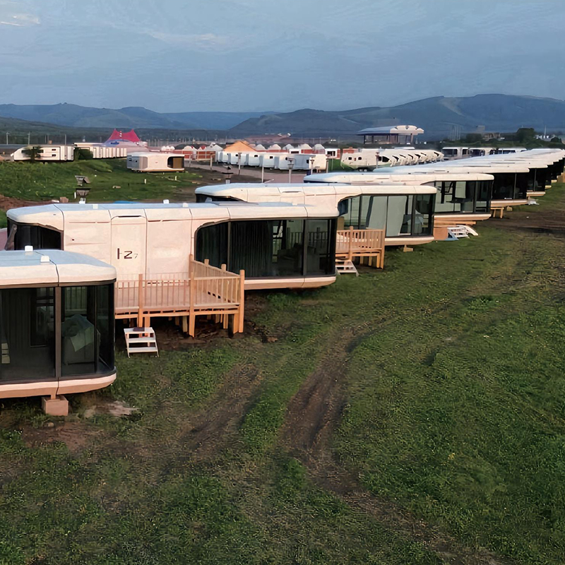 custom capsule house